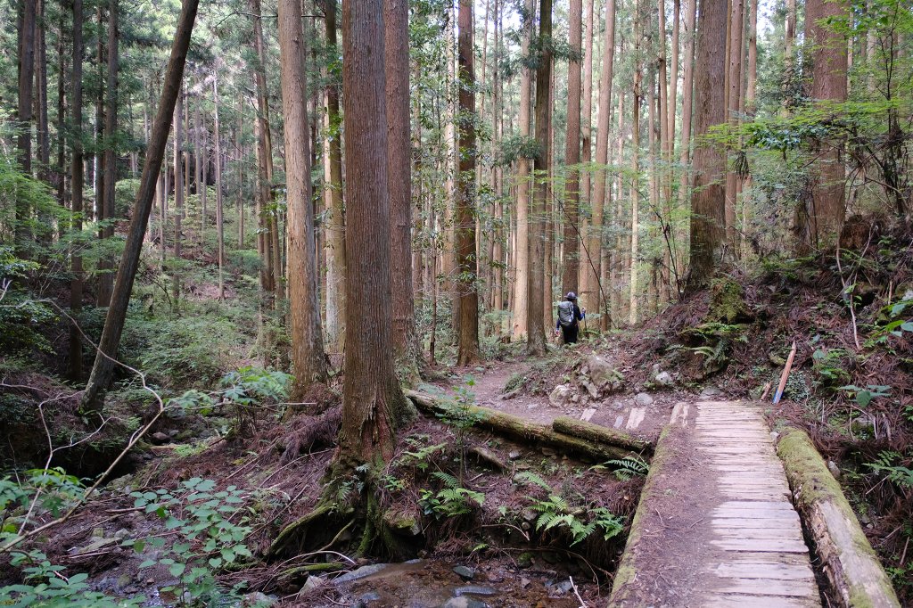 日本熊野古道_2834689