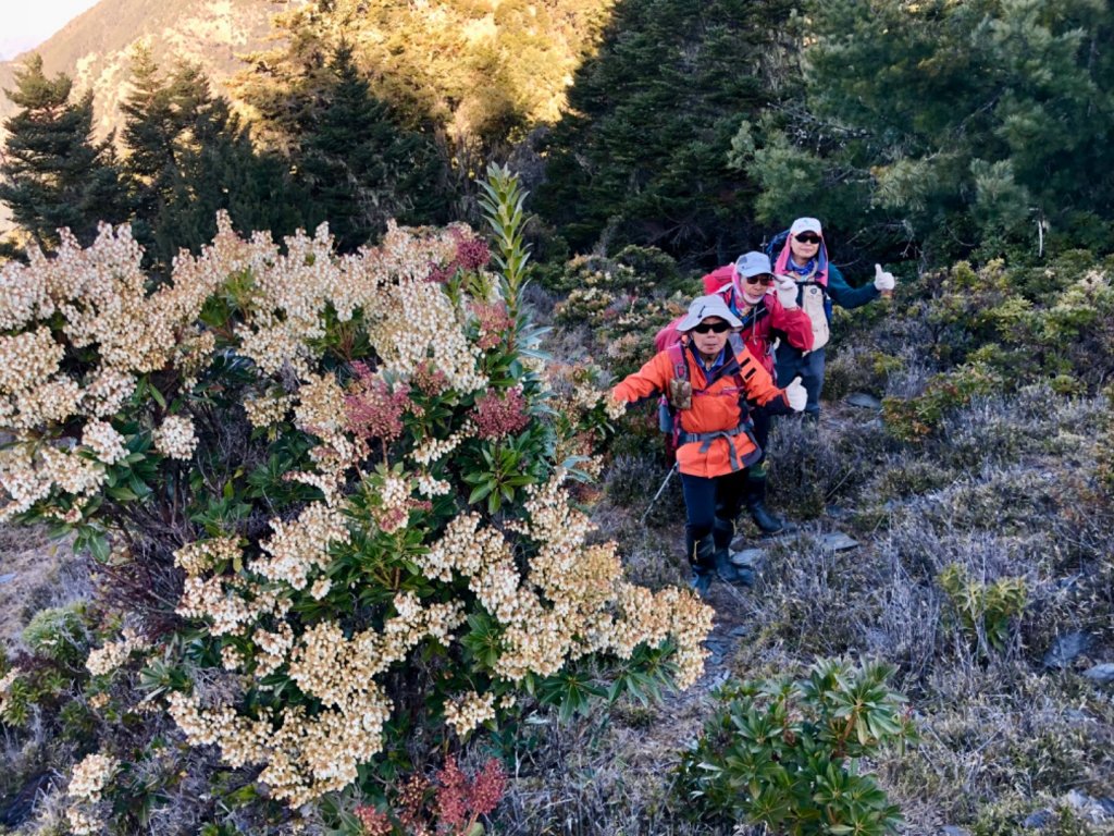 啟動高山度假模式～阿蓮五虎兄弟之馬博橫斷_2073106