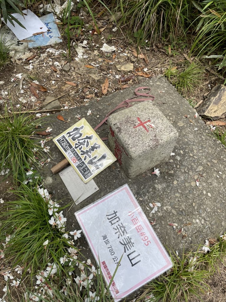 加奈美山封面圖