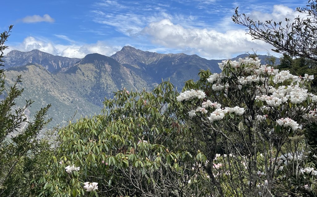 鹿林山+石水山+東埔山 20240402_2481637