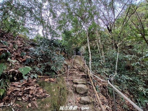 【台中和平】 雙崎部落款款行。 埋伏坪登山步道 (埋伏坪山)_2082090