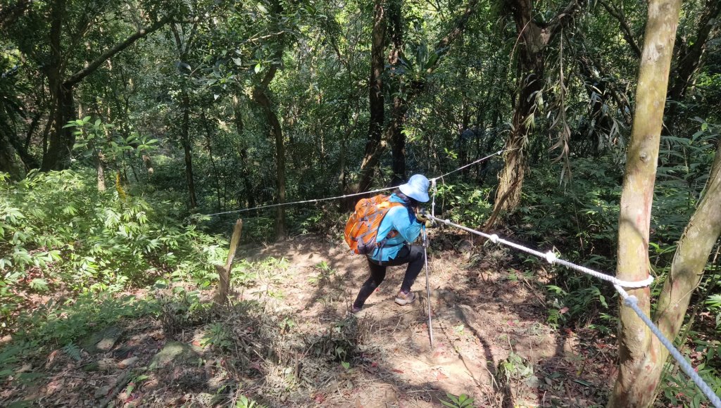 (姨婆趴趴走)第四十九集:攀登連走宜蘭梗枋山、橋板湖山_2747747