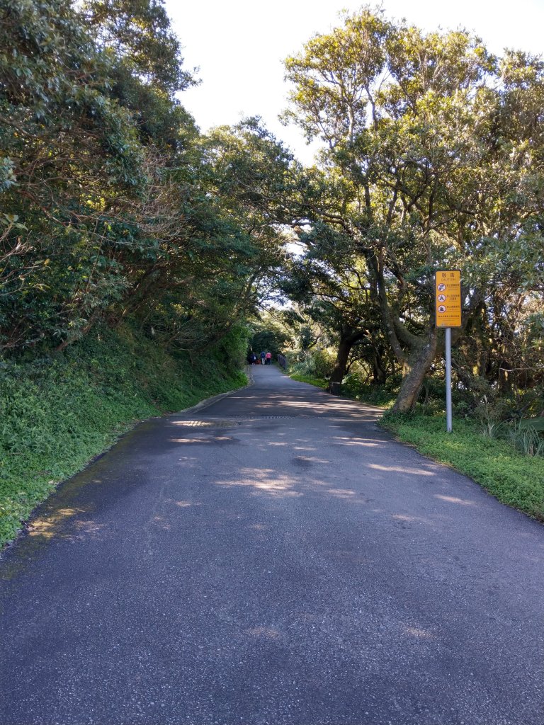 面天山、向天山賞芒行_736950