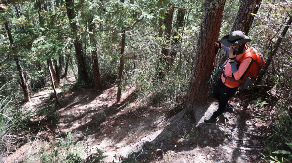 志佳陽大山登山健行趣(百岳47號)_1922599