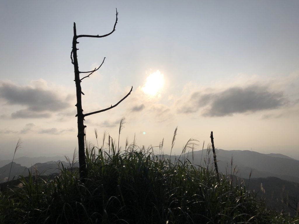 台灣小百岳No.011姜子寮山_908446