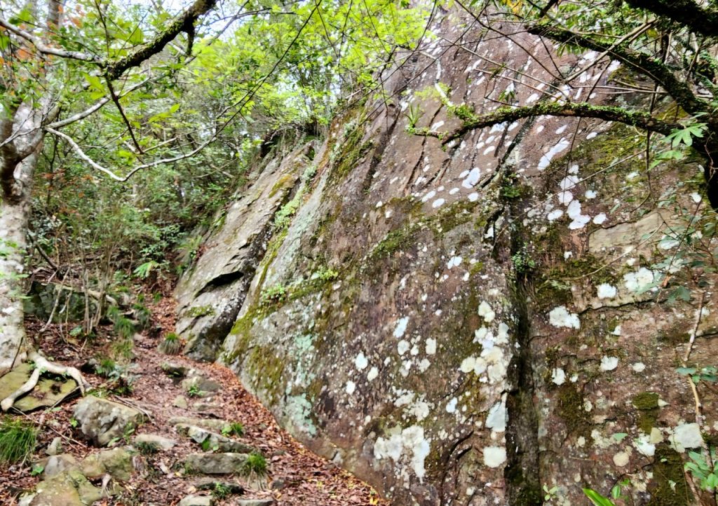【中級山縱走】水雲三星，橫龍山，騰龍山，橫龍古道_2742942