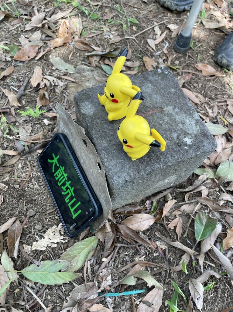 魚猴13連峰封面圖