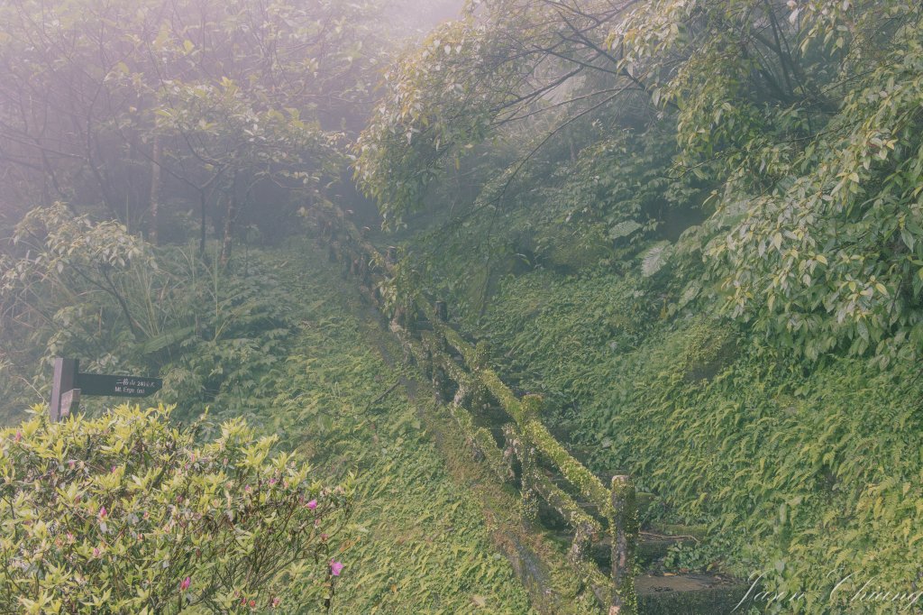 [新北]二格山_2730210