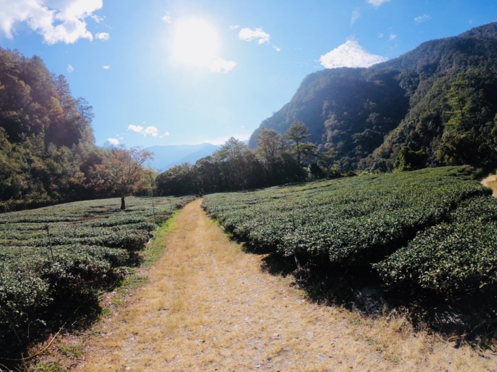 帖比倫瀑布_754877