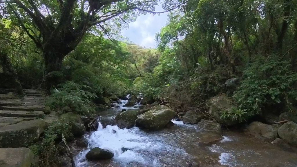 20251115_草嶺古道追芒趣封面圖