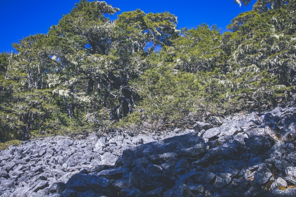 20231118-池有山步道_2534557