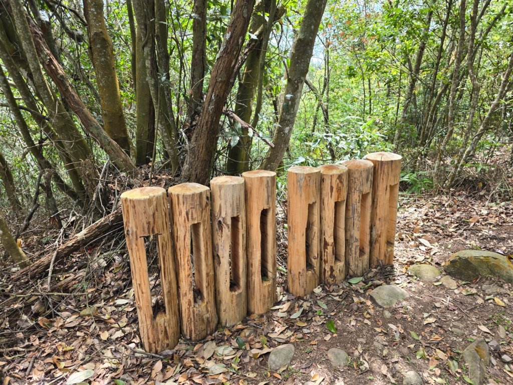 台中大坑頭嵙山區1號／5-1號5號步道黑松亭順訪二嵙山_2748353