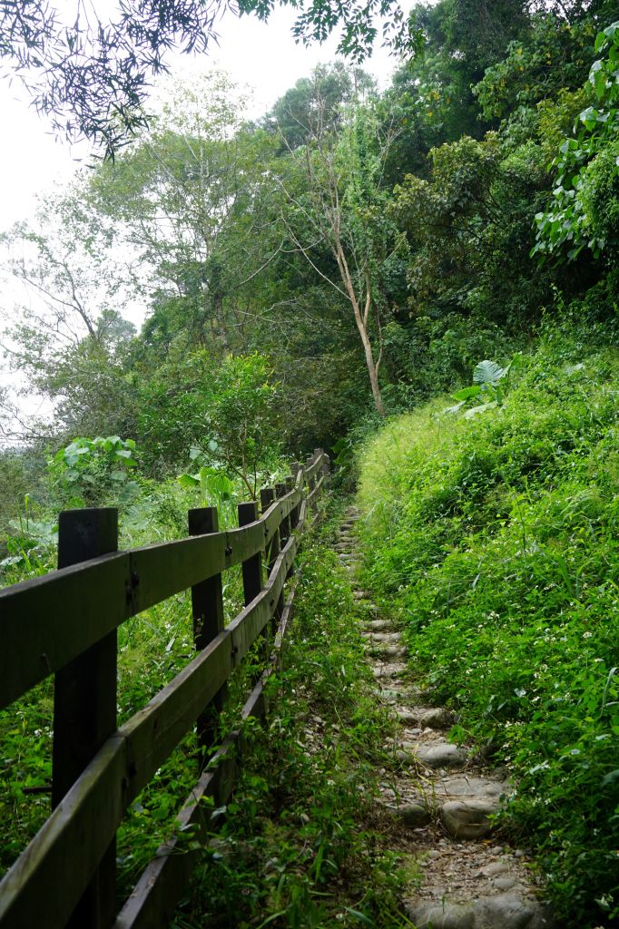 中央嶺步道_216564