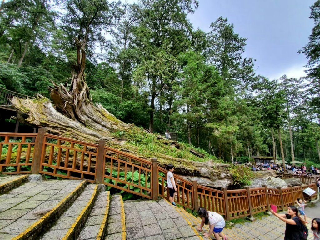 台中八仙山森林遊樂區，天籟步道，白鹿吊橋，南觀音山，溪頭森林遊樂區，妖怪村，猴探井天空之橋_1858594