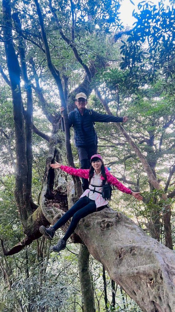 🌈3/15（日）北得拉曼神木+內鳥嘴山✨FB：熊熊趴爬走🌈_3016815