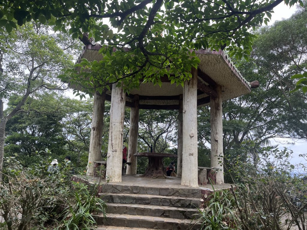 [山頂鳥40周年會員大縱走-02/15] 2024_0616 飛鳳山、觀日坪古道_2530055