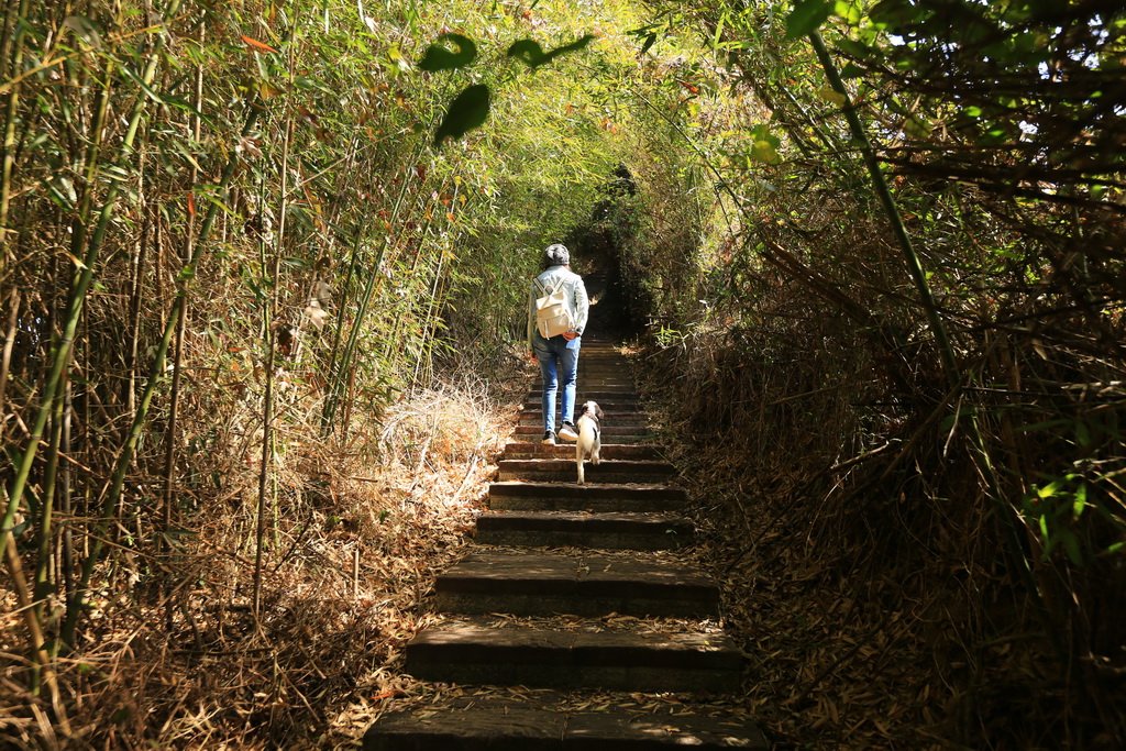 2023_0219 后里鳳凰山觀音山O走_2039811