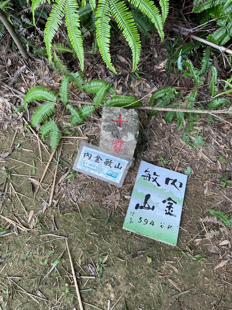 金詩塞內_2236657