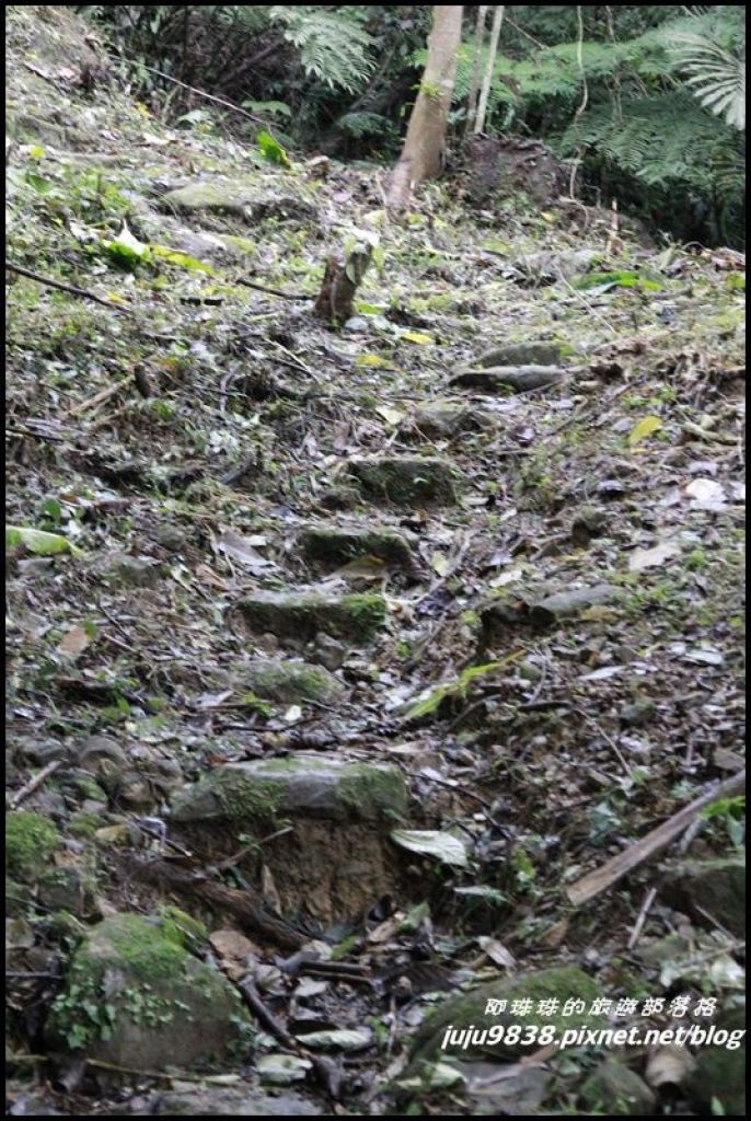 塵封已久的關西蝙蝠洞六畜古道重現_134502