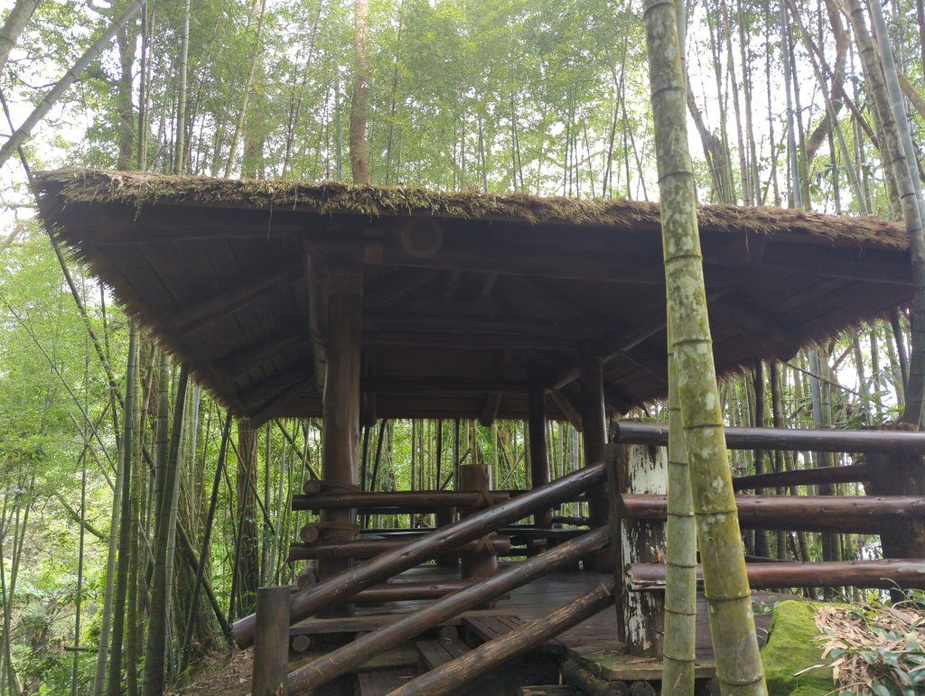 2024.10.12－會讓人迷糊的地方：迷糊步道_2627762