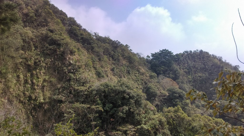 大坑5-1步道~頭嵙山三角點_872091