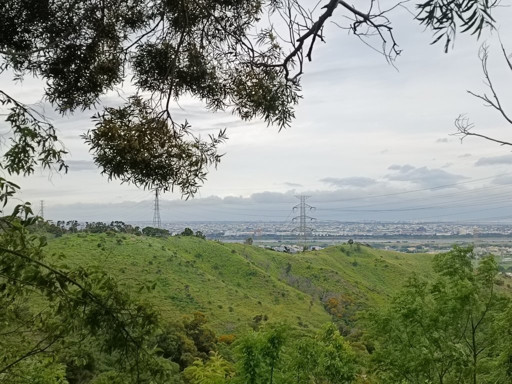 竹坑南寮登山(台中抺荼山)_1698189
