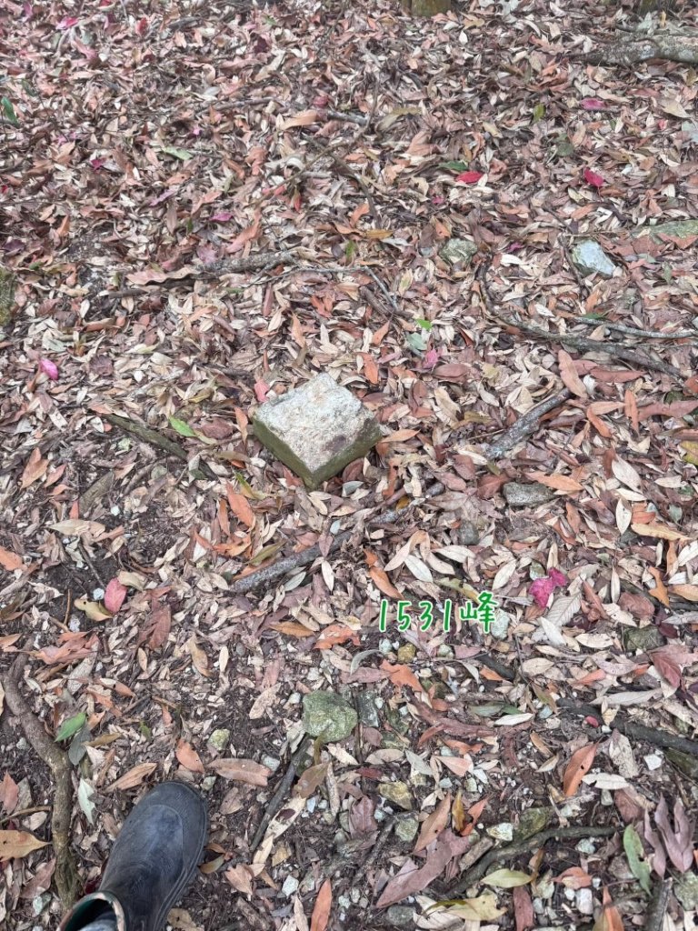 巴蜈縱走_2936561