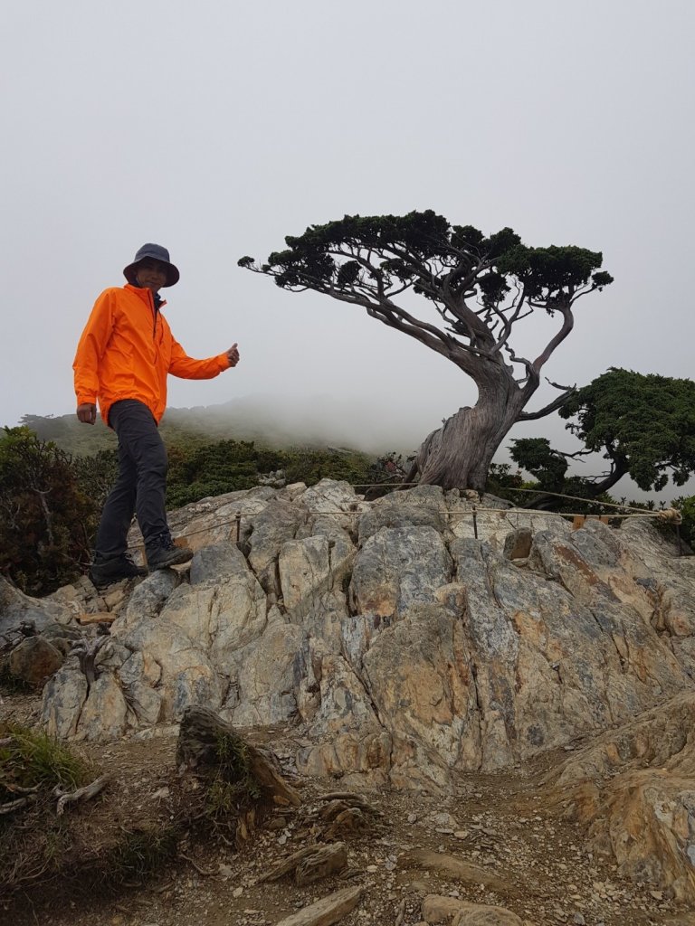 嘉明湖、向陽山三叉山（百岳×19、20）_1071427