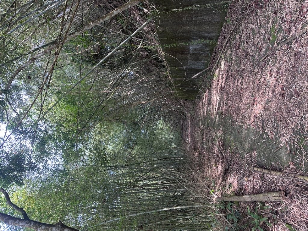 061嘉義竹崎-大湖尖山_2634086