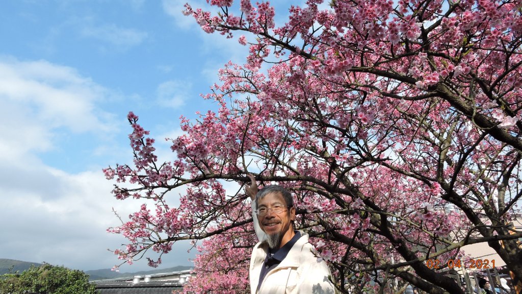 花花世界_1258577