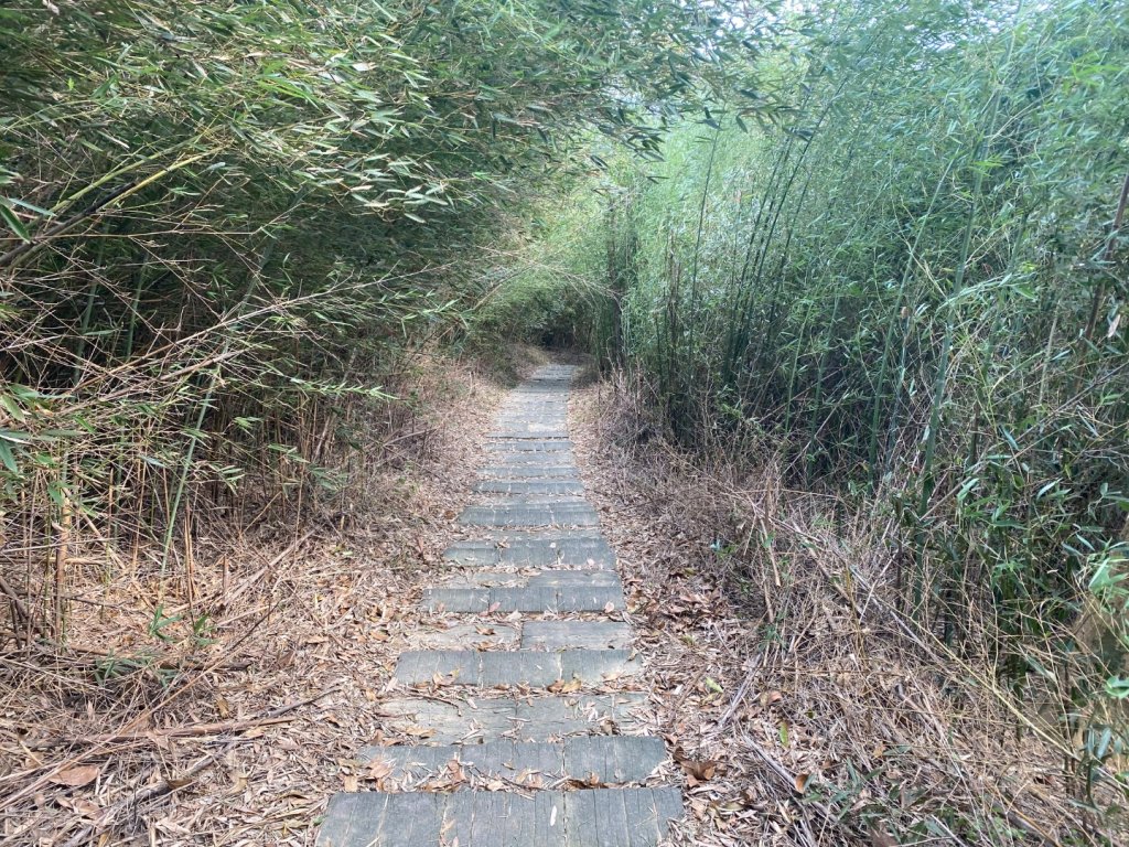 苗栗頭份-老崎古道_2628323