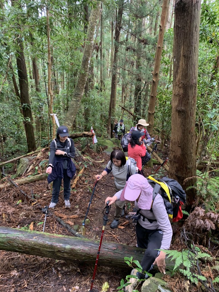 20251220嘉義凸龜山-芙蓉山-天福山_2973785