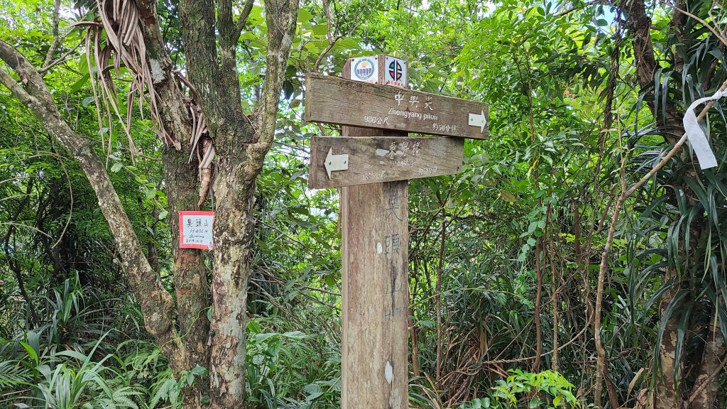 新北平溪-臭頭山、中央尖、慈恩嶺_1415897