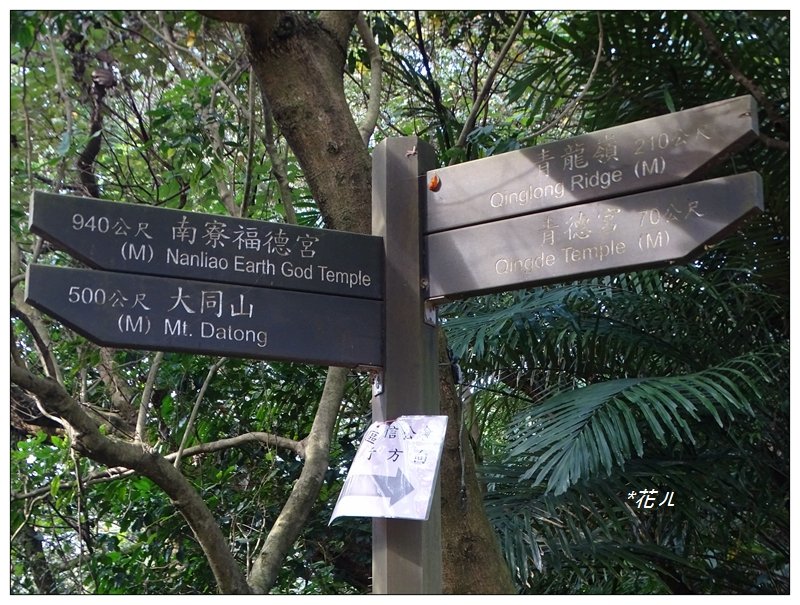 大同山步道/青龍嶺_751955