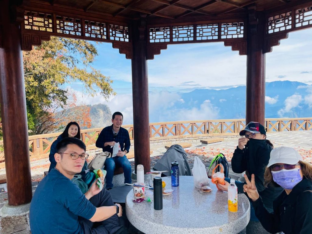 阿里山 水山巨木步道_1741735