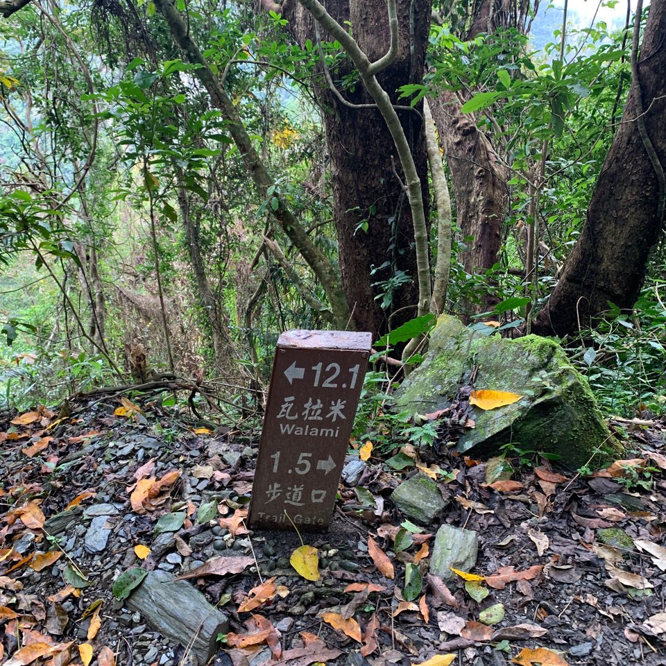 瓦拉米步道（八通關東段）_1992468