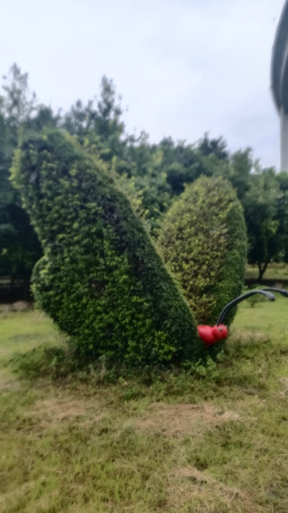 橋聳雲天綠雕園區_1753810