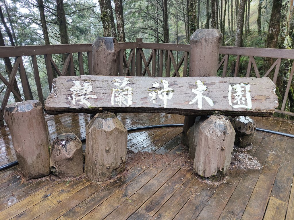 神木園步道_2371866