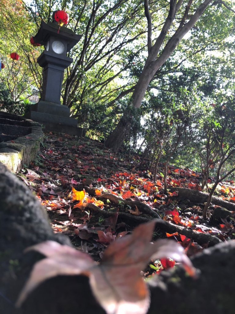 拱北殿三秀山、金明山、柯子林山、如意湖_1660793