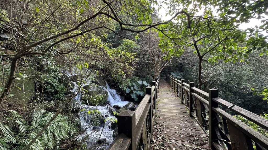 戀戀暖湯八煙溫泉古道_1990599