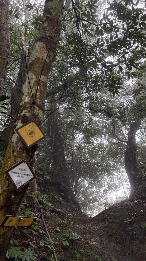 樟之細路龍潭關西「十連峰」_2960662