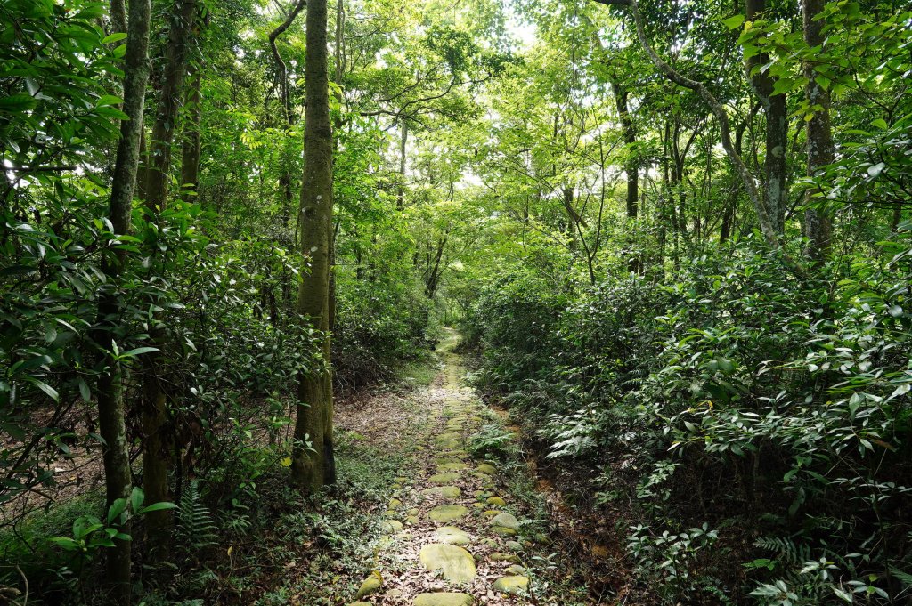 苗栗 長潭坑山、大坑尾山、三角山、雙峰山_2598383