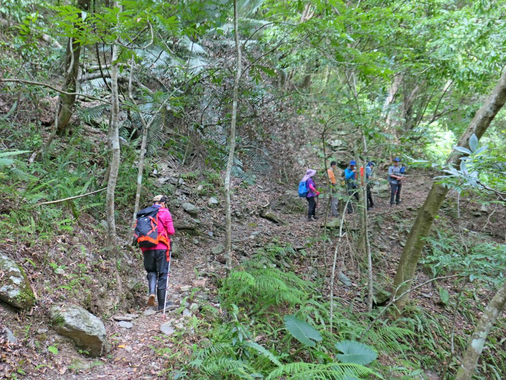 登碧綠神木旁焦土山及加碼綠水文山步道  _375987