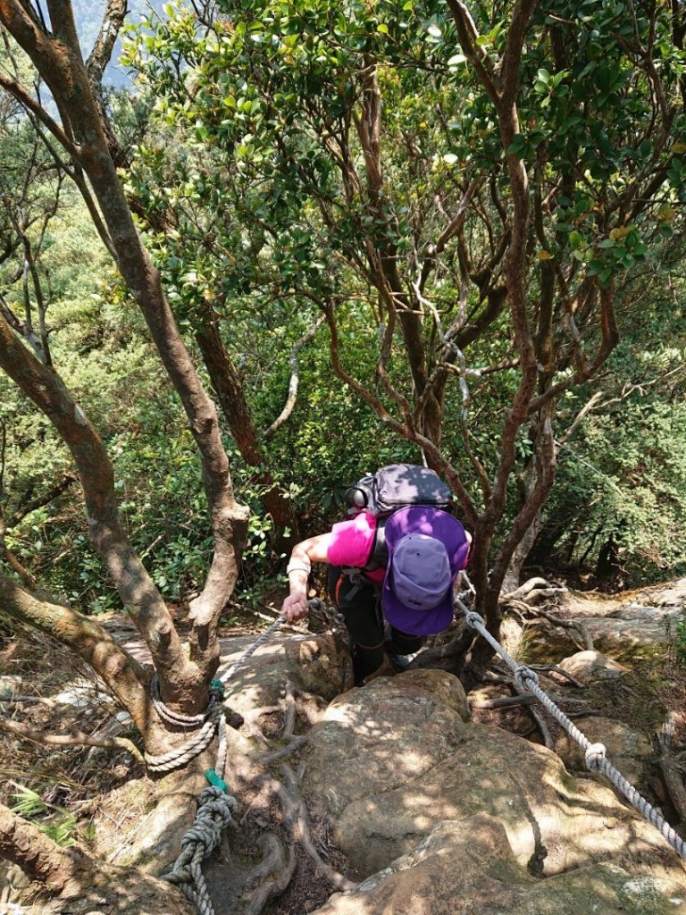 那結山（嘎色鬧部落線）_893415