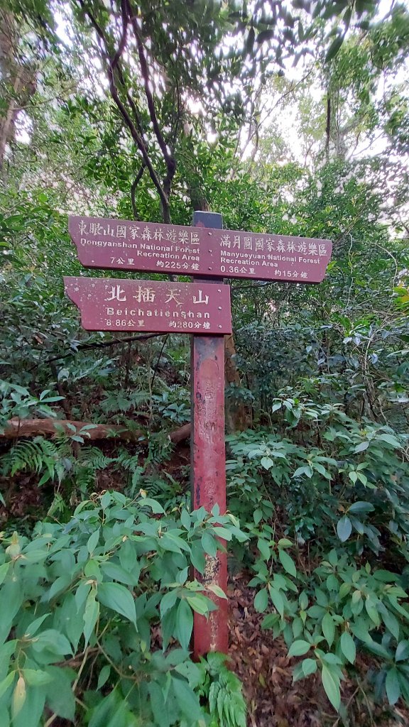 111/03/12東滿步道(東眼山進、滿月圓出)_1643972