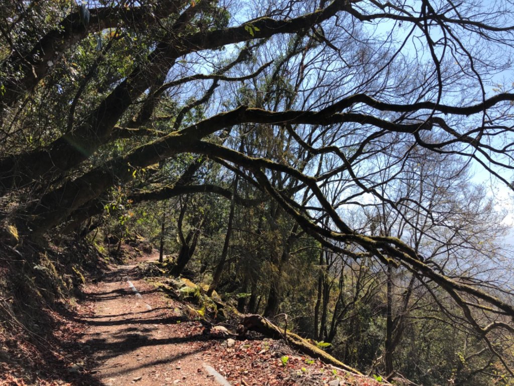 石山、石山引水道_847986