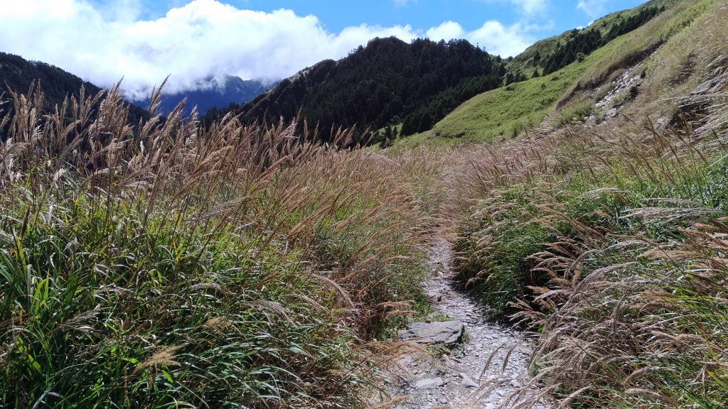 美麗山谷~~小奇萊山!_185041