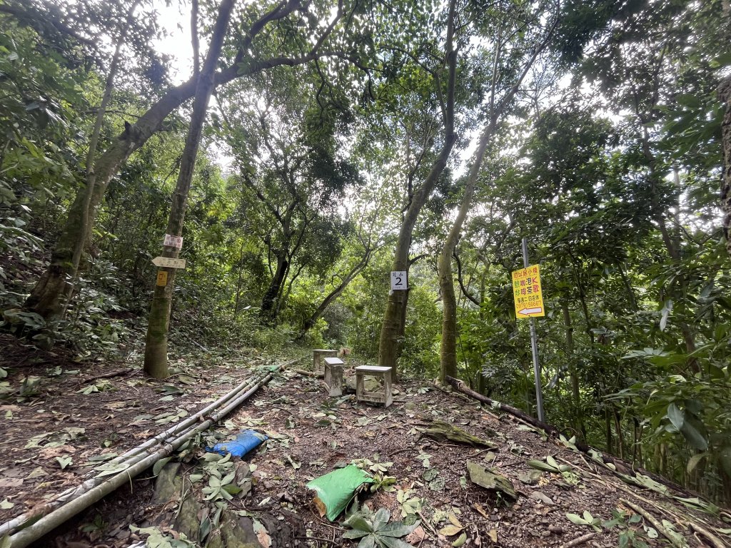 [屏步青雲 尋寶任務-06/10] 2024_1005 笠頂山步道_2616691