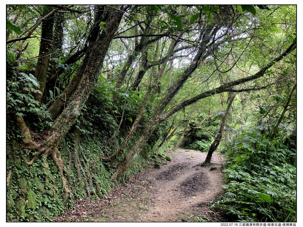 2022.07.18 三貂嶺車站-侯硐車站：〖三貂嶺瀑布群步道〗〖中坑古道〗〖柴寮古道〗_1775322
