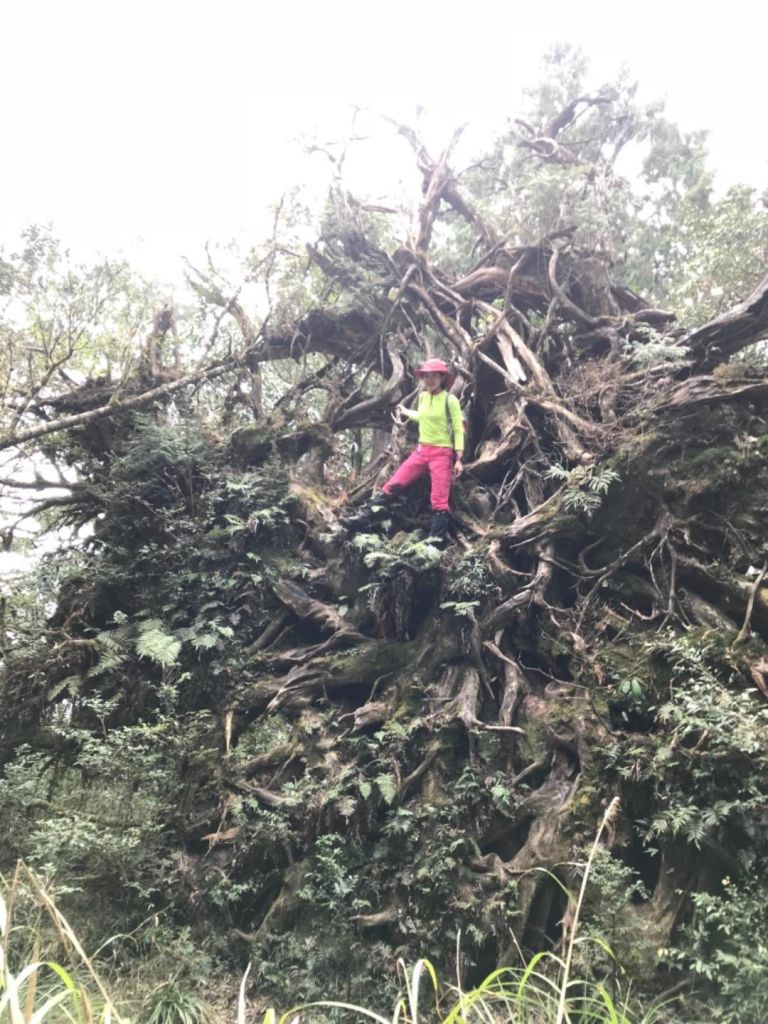 1070317 塔魔巴縱走_290457